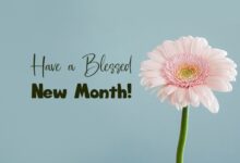 Happy New Month Wishes And Wishes for May 2022