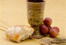 Our Daily Bread Today 8 May 2024 Devotional: Eyes to See