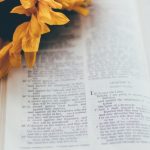 Joyce Meyer Devotional Today – January 13, 2026 | Discipline Leads to Joy