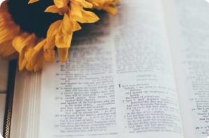 Joyce Meyer Devotional Today – January 14, 2026 | What Is Confidence?