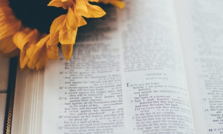 Joyce Meyer Devotional Today 19 January 2026 | Finding Stability in an Unstable World